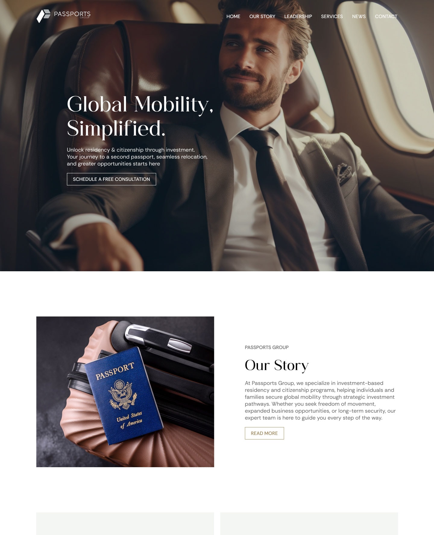 Passports Group website design preview