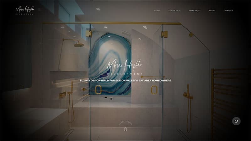Moses Hershko Development website design preview