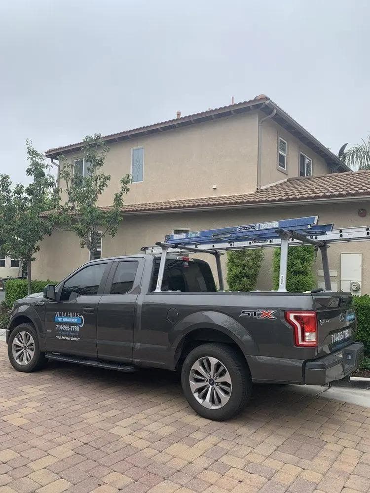 Villa Hills Pest Management